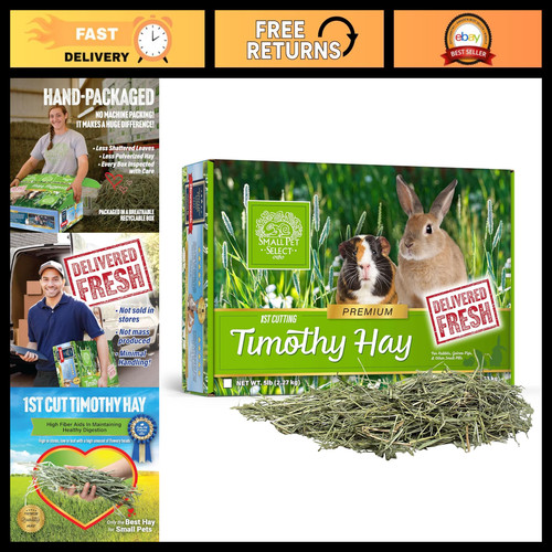 High fiber timothy guinea pig - guinea,